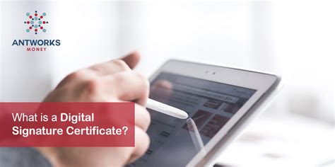 What Is A Digital Signature Certificate? - Antworks Money