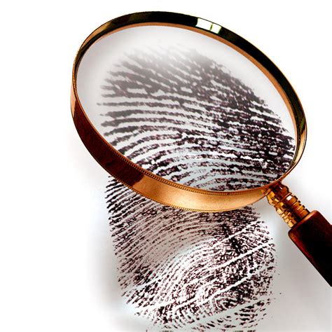 Image result for Evidence Collection Free Pictures