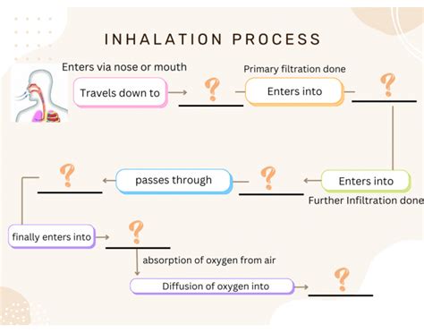 Image result for Inhalation Process Book