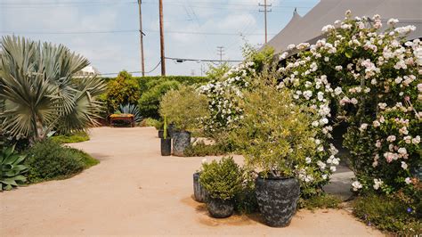 Events | DTLA Sapces - Rolling Greens