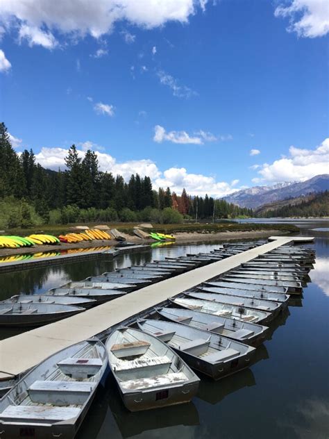 Image result for Run Runner Running