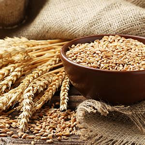 Buy OGX Thick & Full + Biotin & Collagen Volumizing Shampoo for Thin ...