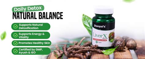 Buy Sheopal's Liver X – Ayurvedic Liver Detox Supplement with Kutki ...