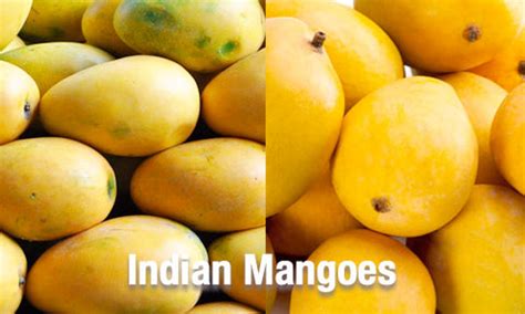 Image result for Mango Production Script Script