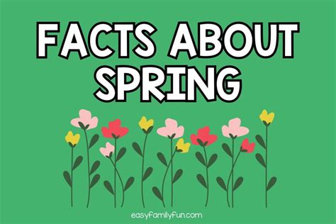 Image result for Amazing Facts Spring
