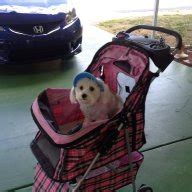 Image result for Program Bcd996p2