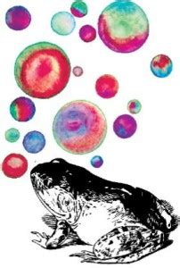 Froggy Bubbles Wall Art | Lotta Farber Photographic Paper - Music ...