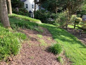 Leveling a Backyard 的图像结果