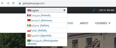 Multilingual Website Design 的图像结果
