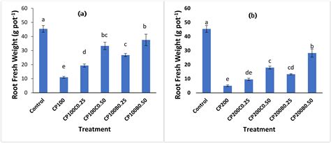 Alleviation of Chlorpyrifos Toxicity in Maize (Zea mays L.) by Reducing ...