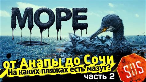 МОРЕ от АНАПЫ до СОЧИ - На каких пляжах есть мазут? Пляжи от Анапы до ...