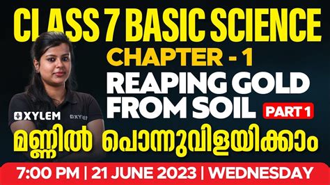 Image result for Xylem Class 7 Basic Science