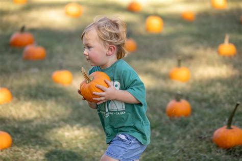 Harvest Moon Fall Festival, Bobby Lanier Farm Park, Germantown, 18 ...