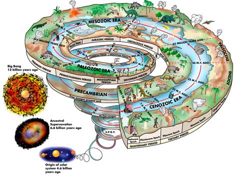地球生命历史进程图高清图片下载_红动网