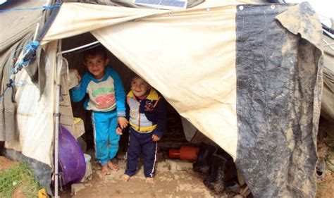 Contact night shelters for giving aid to homeless: Delhi government ...
