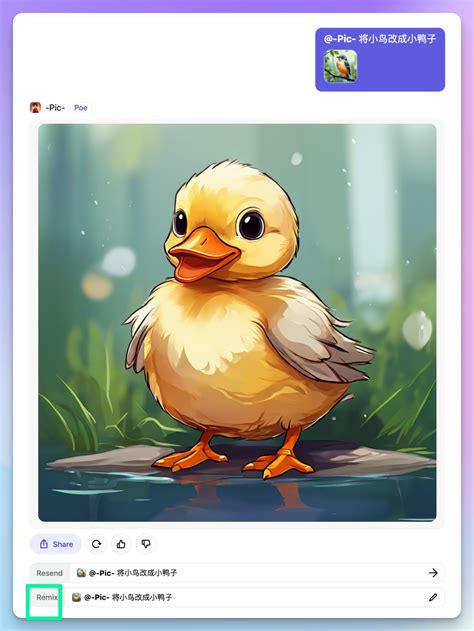 Poo13 Code 的图像结果