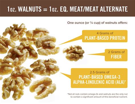 Walnuts Omega 3 Content at Wade Arnold blog