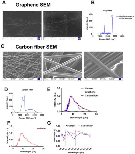 Graphene-Based Far-Infrared Therapy Promotes Adipose Tissue ...