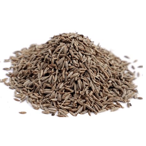 Cumin Seeds Fodmap at Calvin Hartnett blog