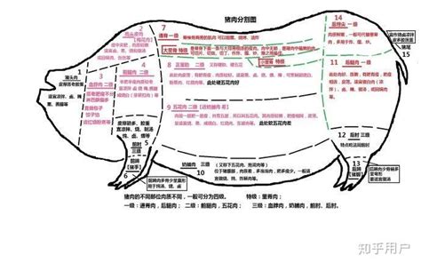 猪颈肉、梅肉、血脖肉、槽头肉、上脑，都是猪身上什么部位的肉？ - 知乎