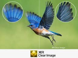 SONY Bravia X90L 138.8 cm (55 inch) Ultra HD (4K) LED Smart Google TV ...