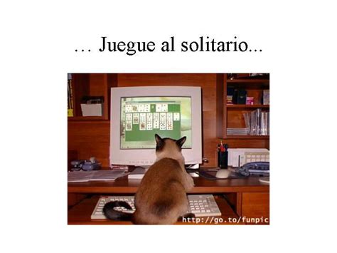 Rezultat imagine pentru Windows Flight Simulator