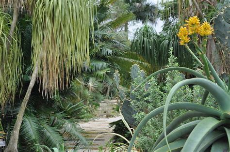 Mounts Botanical Garden, wellington, United States Of America - Top ...