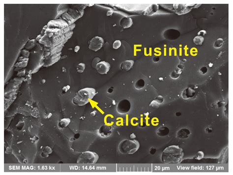 Petrography, Mineralogy, and Geochemistry of Thermally Altered Coal in ...
