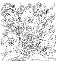 ausmalbilder erwachsene schmetterling blumen ausmalbilder fur erwachsene schmetterling ausmalbilder erwachsene schmetterling blumen ausmalbilder fur erwachsene schmetterling