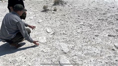 Japanese show films fossilized footprints at White Sands Missile Range ...