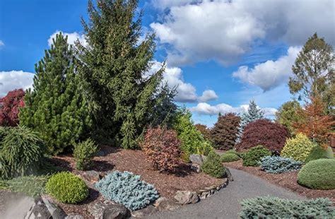 Space Between Plants 的图像结果