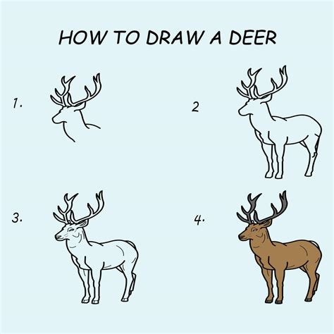 Deer Drawing Tutorial 的图像结果