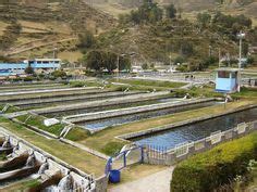 640 Fish Farm ideas in 2024 | fish farming, aquaponics, aquaponics system