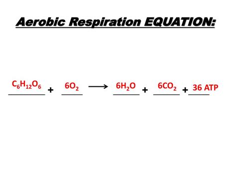 PPT - ENERGY, Photosynthesis, & Cellular Respiratio n PowerPoint ...
