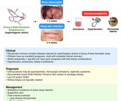 2.	Mrs. B. is concerned because she has only urinated once in the past 24 hours. The medical term for this symptom is (anuria, dysuria, oliguria).