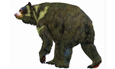 Prehistoric Predators Short Faced Bear Short Faced Bear (Eryel & Sam)