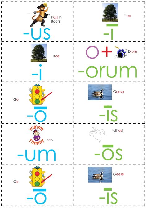 Latin Second Declension Packet – Suzanne Shares