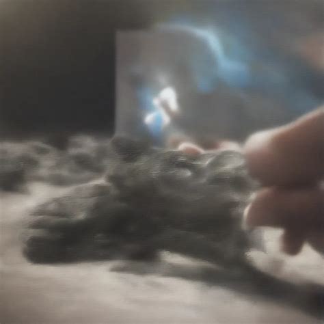 Understanding the Causes of Elevated Troponin Levels