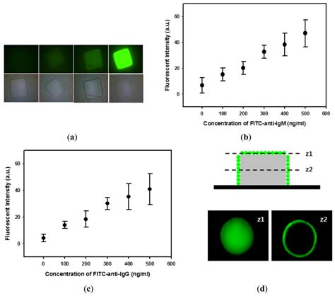 Multiplex Immunoassay Platforms Based on Shape-Coded Poly(ethylene ...