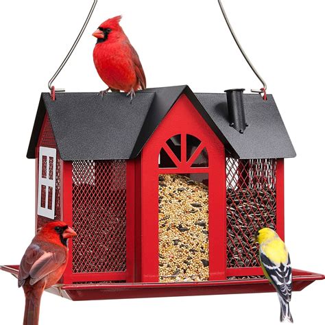 10 Best Bird Houses: Top Picks for Your Feathered Friends ...