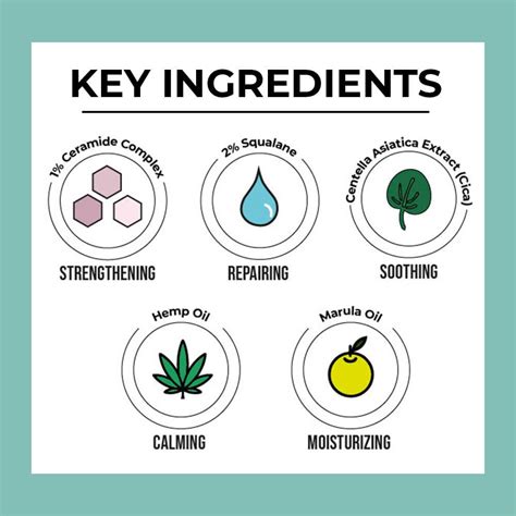 Cica & Ceramide Overnight Repair Serum - 30ml – Dr Sheth's