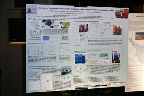 Poster Session Conference 的图像结果