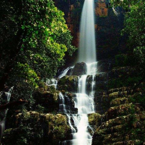 11 Stunning Waterfalls Near Delhi To Visit On Your 2026 Vacay!