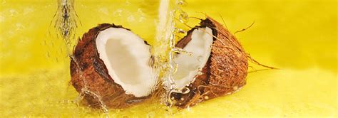 manufacturers of coconut flakes,manufacturers of Dry Coconut ...