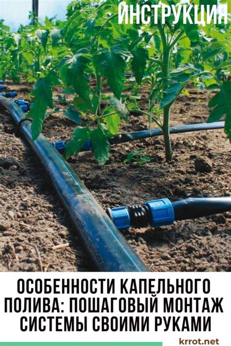 Капельный полив в теплице и на огороде своими руками: комплектующие ...