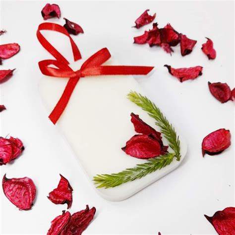 Purezaa Scented Wax Sachet/Wax Tablets (Rose (Floral Fragrance ...