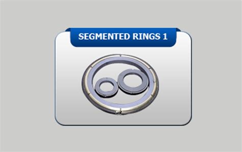Image result for Segmented Feature Ring