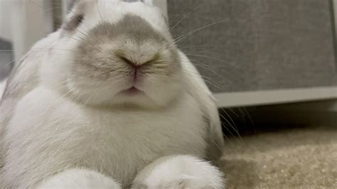 Dad keeps calling me fat, wants to rename me to Chonskie - how should I ...