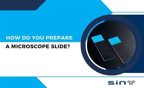 Image result for DIY Microscope Slide