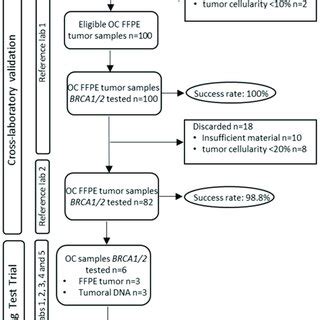 Image result for Sample Selection Methods
